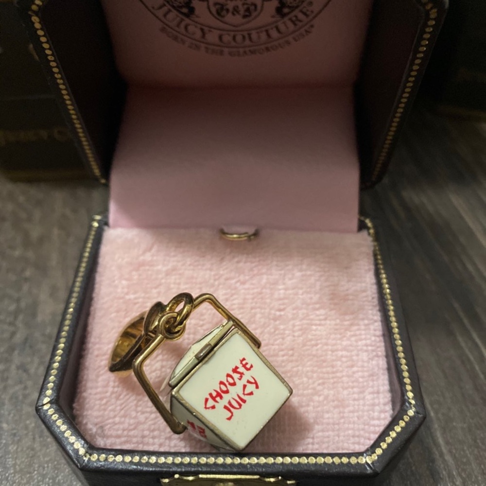 Juicy Couture Chinese take out charm RARE